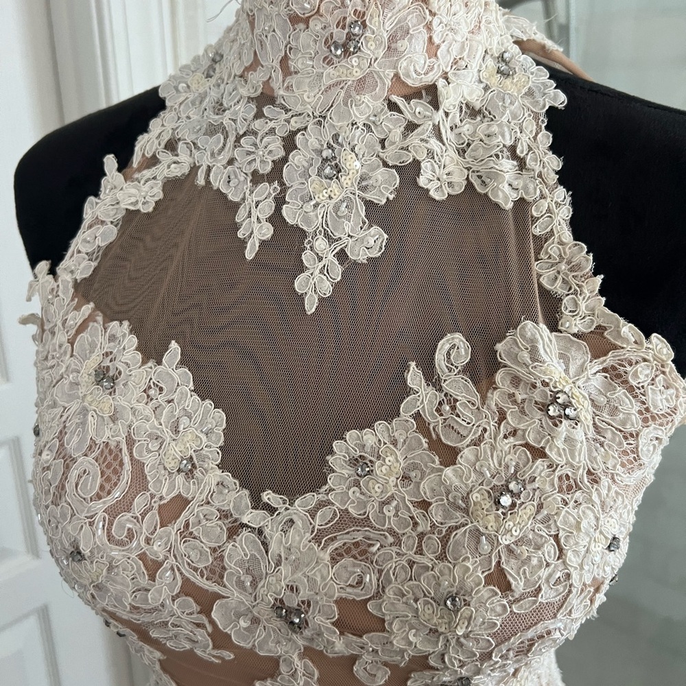 Sherri Hill Nude and Ivory Backless Lace Appliqué Dress - Picture 3 of 7
